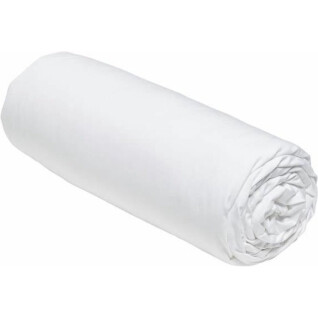 Fitted sheet cotton percale Today Prestige