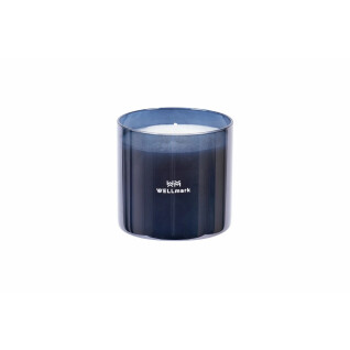 Medium scented candles Wellmark (x6)